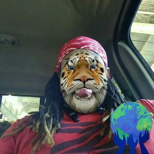 Meet your Posher, Dondada